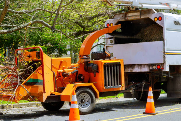 Seasonal Cleanup (Spring/Fall) in Auburn, MI