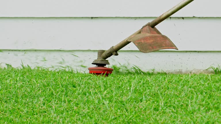 Lawn Watering Services in Auburn, MI